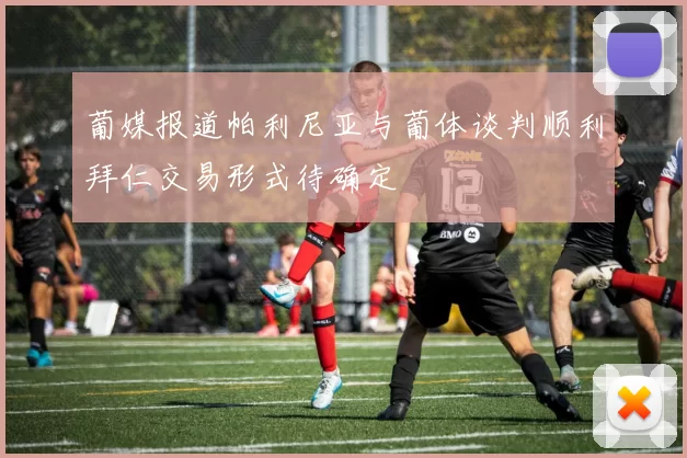 葡媒报道帕利尼亚与葡体谈判顺利拜仁交易形式待确定